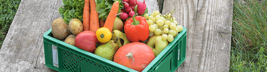 KI generiert: Das Bild zeigt eine grüne Kiste, die mit einer Vielfalt an frischem Obst und Gemüse gefüllt ist, darunter Trauben, Paprika, Kartoffeln und Karotten. Die Kiste steht auf einem rustikalen Holztisch im Freien.