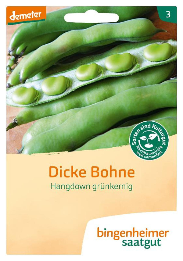 Produktfoto zu Saatgut Dicke Bohnen Hangdown grün
