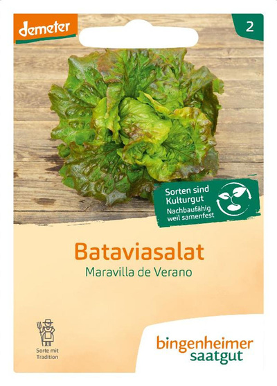 Produktfoto zu Saatgut Bataviasalat Maravilla de Verano