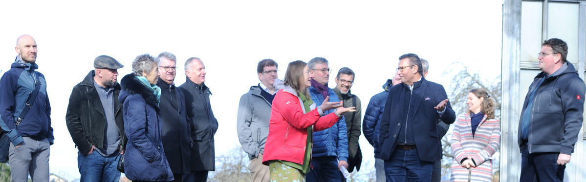 Deckers Biohof feinste alte Tomatensorten in Bioqualität