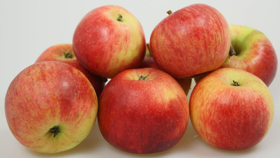 Produktfoto zu Apfel Gerlinde