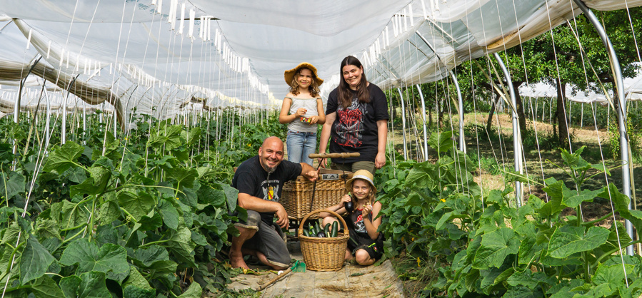  Eine Familie – zwei Erwachsene und zwei Kinder – posiert in einem großen, überdachten Tunnelgewächshaus mit Reihen von grünen Pflanzen. Der Mann kniet neben einem Korb voller Zucchini. Eine der Personen, vermutlich ein Kind, trägt einen Strohhut. Die andere Person trägt auch einen Strohhut. Im Hintergrund sind weitere Reihen von Pflanzen und die Struktur des Gewächshauses zu sehen.