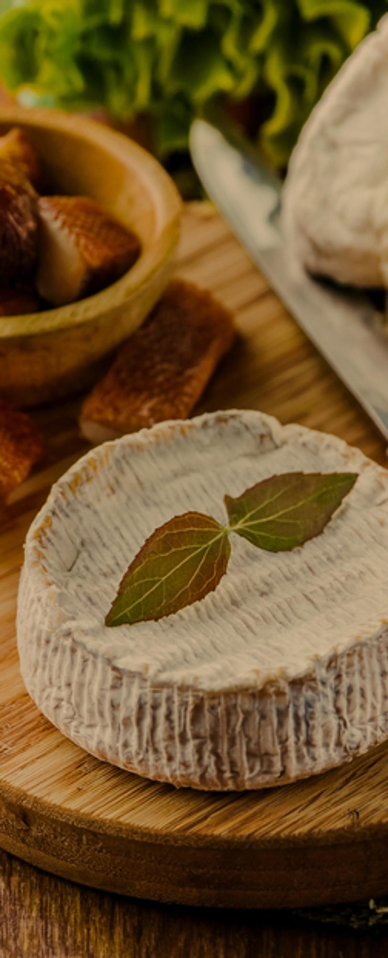 Schaf- & Ziegenkäse