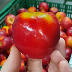 Ein runder Ausschnitt, der eine Hand zeigt, die einen leuchtend roten Apfel mit gelben Akzenten und leicht wachsiger Schale vor einem Hintergrund weiterer Äpfel hält, mit der Beschriftung 'Äpfel'.