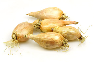 Fünf Schalotten auf weißem Hintergrund.