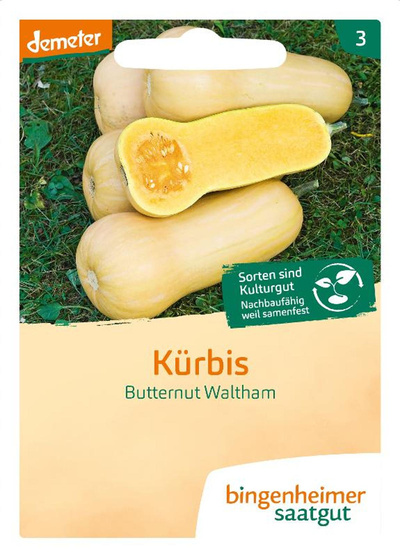 Produktfoto zu Saatgut Kürbis Butternut Waltham