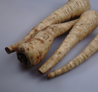 Mehrere cremefarbene Pastinaken, einige davon mit braunen Schrammen und Verfärbungen, beschriftet mit 'Pastinake'.