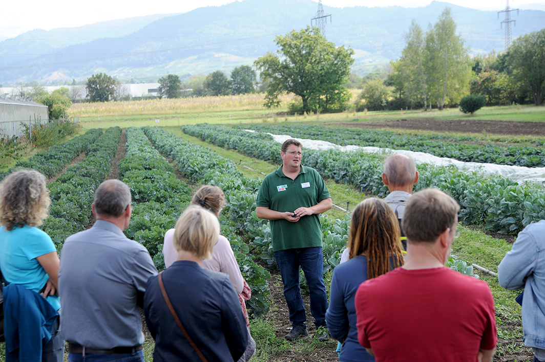 Mehrere Menschen stehen im Halbkreis um einen Mann auf einem Gemüsefeld; der Mann spricht und erklärt, im Hintergrund sind bewirtschaftete Felder und grüne Pflanzenreihen sichtbar.