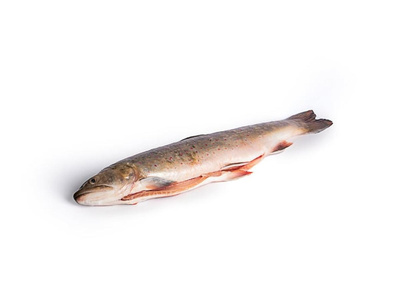 Produktfoto zu Frischer Saibling, ca. 600 g