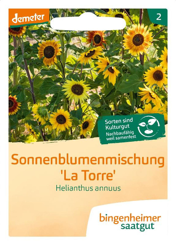 Produktfoto zu Saatgut Sonnenblume la Torre