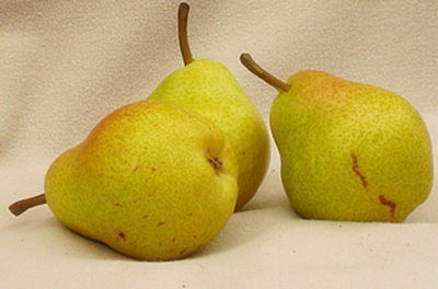 Produktfoto zu Birne Williams