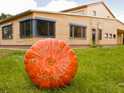 Großer Kürbis mit orangefarbenem Muster liegt auf Grasfläche.