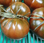 Ein runder Ausschnitt, der mehrere dunkle, bräunlich-rote Tomaten mit deutlichem Grünkargen und Stielansätzen zeigt, mit der Beschriftung 'Tomaten mit Grünkargen'.