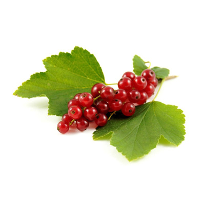 Produktfoto zu Johannisbeeren rot, 250 g