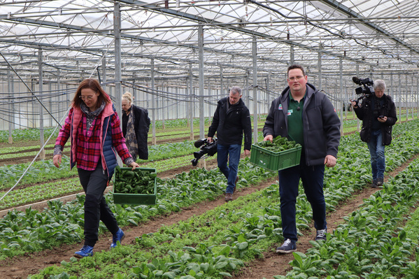Eine Frau und ein Mann tragen gemeinsam Kisten voller grüner Blätter durch ein großes Gewächshaus. Hinter ihnen laufen mehrere Kameraleute.