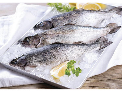 Produktfoto zu Frische Forellen, ca. 400 g - MHD mind. bis 16.03.2026 - Restbestand Vorbestellaktion