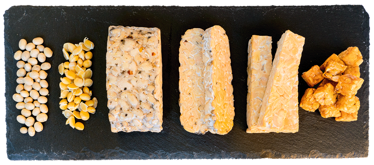 Eine Reihe von Sojaprodukten, die die verschiedenen Stadien der Tempeh-Herstellung zeigen, sind auf einer dunklen Schieferplatte angeordnet. Von links nach rechts sind zu sehen: ganze getrocknete Sojabohnen, halbierte geschälte Sojabohnen, ein Block unfermentierter Tempeh, ein Block fermentierter Tempeh mit leichter Pilzschicht, zwei geschnittene Stücke fermentierter Tempeh und gewürfelte, gebratene Tempeh-Stücke.