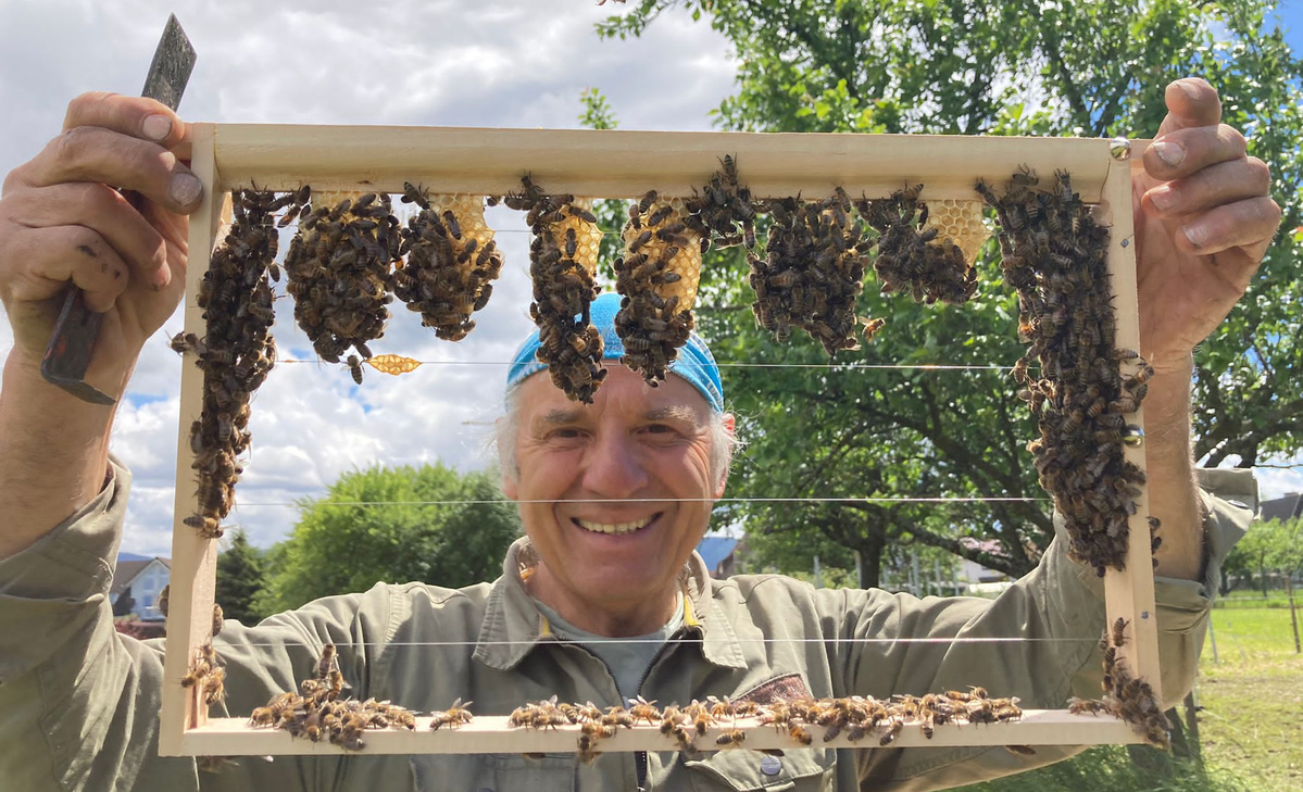 Ein älterer Imker mit blauem Kopftuch hält einen Holzrahmen mit mehreren wachsenden Bienenwaben in der Hand. Auf dem Rahmen sitzen zahlreiche Bienen. Der Imker lächelt in die Kamera, im Hintergrund sind grüne Bäume und ein leicht bewölkter Himmel zu sehen.