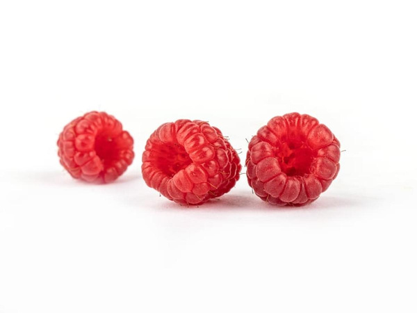 Produktfoto zu Jungpflanzen Himbeere im Topf