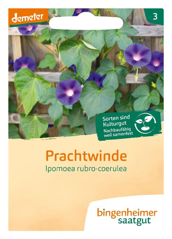 Produktfoto zu Saatgut Prachtwinde