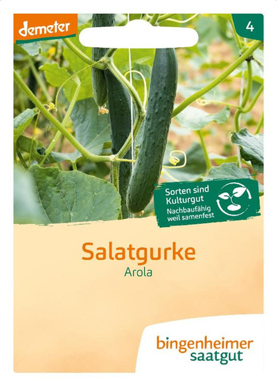 Produktfoto zu Saatgut Salatgurke Arola