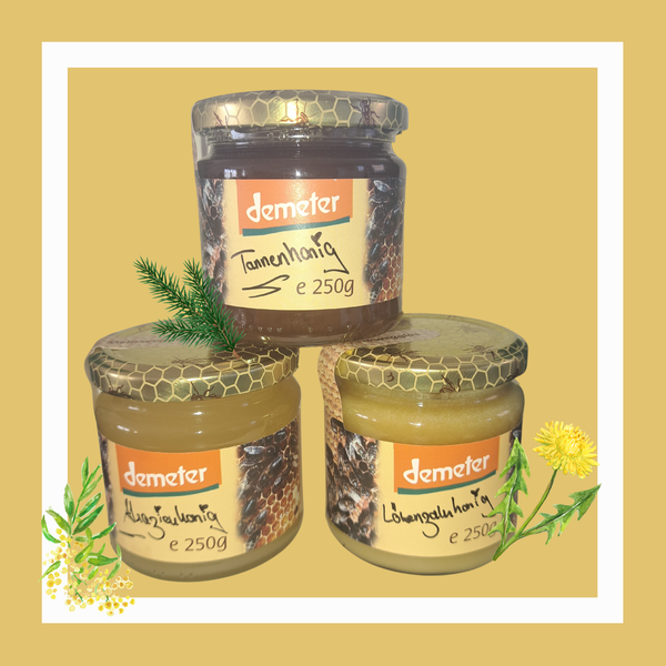 Drei Gläser Demeter-Honig stehen vor einem hellbraunen Hintergrund. Auf den Etiketten stehen verschiedene Sorten, darunter Tannenhonig und Blütenhonig. Um die Gläser sind gezeichnete Kräuter und Blüten dekoriert.