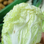 Ein runder Ausschnitt, der die hellgrünen Blätter eines Chinakohls zeigt, an denen eine bräunliche Verfärbung oder Schädigung als 'Blattrand-Nekrose' erkennbar ist, mit der entsprechenden Beschriftung.