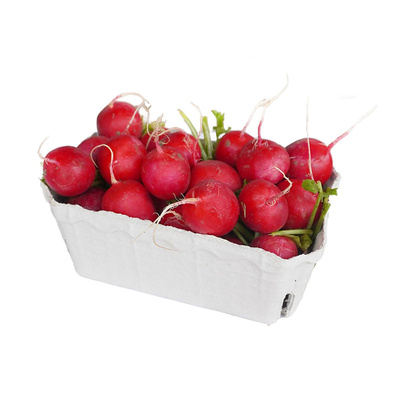 Produktfoto zu Radieschen in der Schale