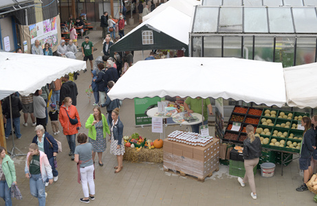 Eine Marktfläche mit weißen Pavillons, Verkaufsständen und Besucherinnen – Zentrum des Geschehens mit regionalen Produkten.