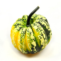 Ein kleiner, grün-gelb gestreifter Kürbis auf weißem Hintergrund.