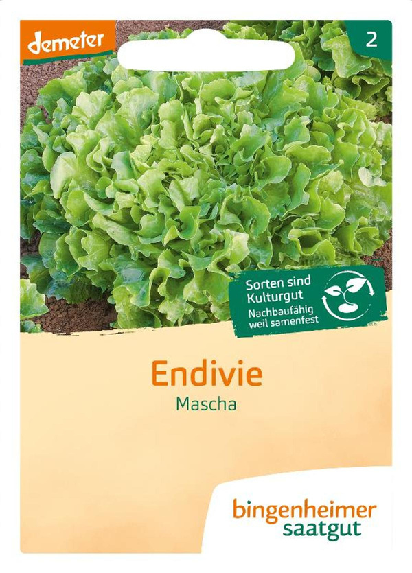 Produktfoto zu Saatgut Endivie Diva