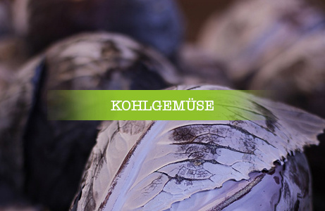 Zwei Köpfe Rotkohl mit sichtbaren Blattstrukturen – Kategorie: Kohlgemüse