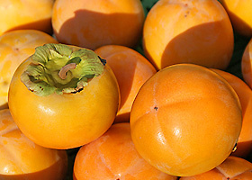Mehrere reife Kaki-Früchte liegen eng beieinander.