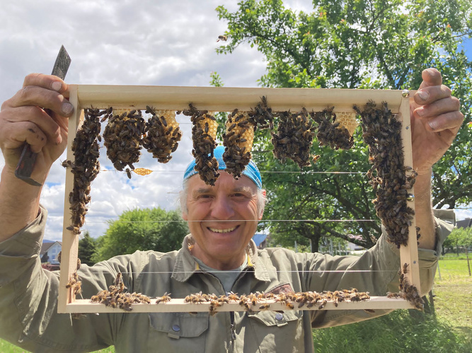 Bienenrahmen