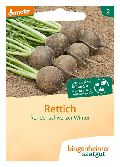 Produktfoto zu Saatgut Rettich runder schwarzer Winter