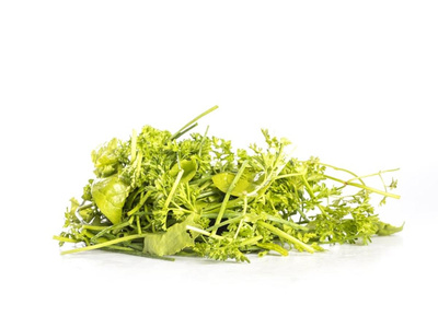 Produktfoto zu Grüne Soße 5 Kräuter