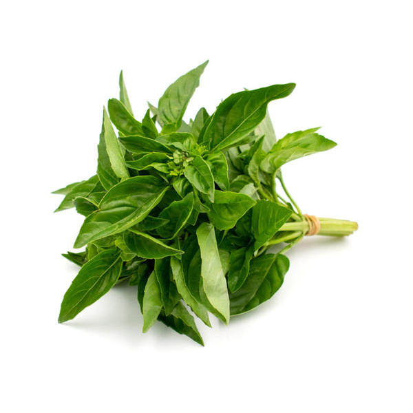 Produktfoto zu Basilikum Bund