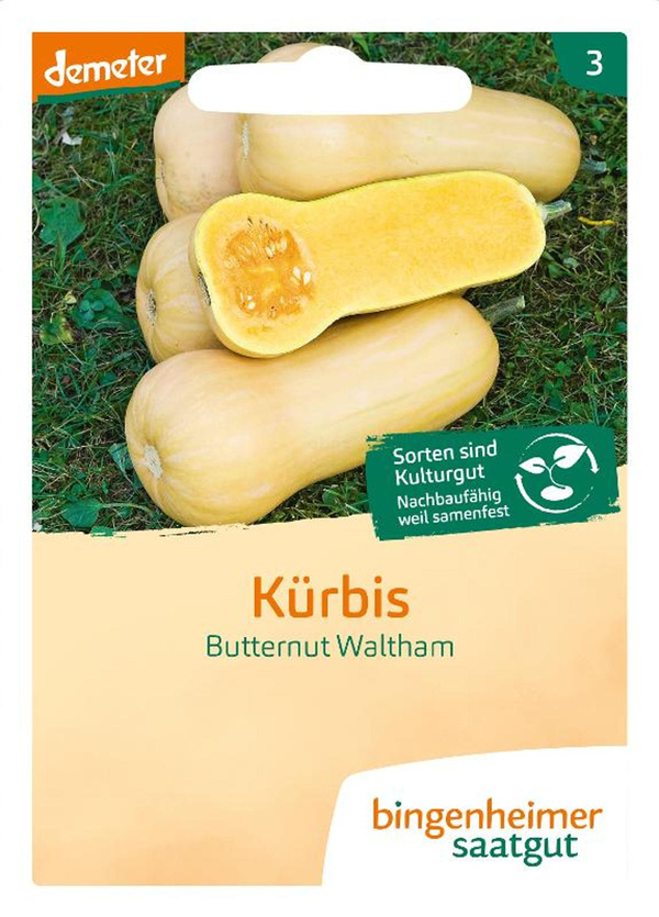 Produktfoto zu Saatgut Kürbis Butternut Waltham