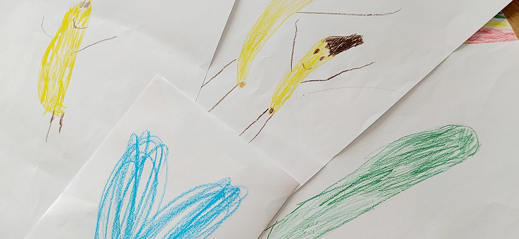 Eine Nahaufnahme von mehreren bunten Kinderzeichnungen, die auf einer weißen Oberfläche liegen. Die Bilder zeigen einfache Figuren wie einen gelben Schmetterling, eine blaue Raupe und eine grüne, längliche Form, gezeichnet mit Buntstiften.