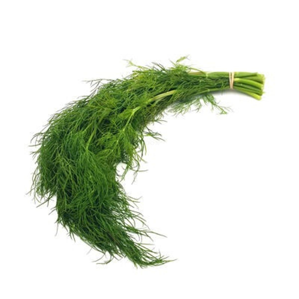 Dill