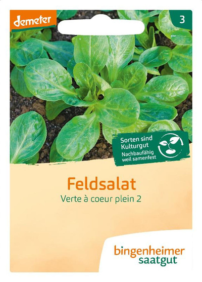Produktfoto zu Saatgut Feldsalat Dunkelgrün