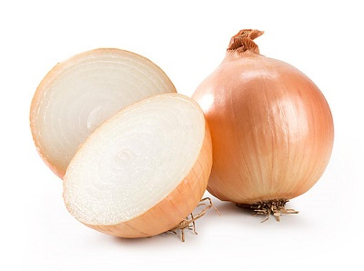Zwiebel normal