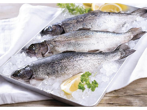 Produktfoto zu Frische Forellen, ca. 400 g