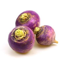 Drei violette und gelbe Steckrüben liegen auf einem weißen Hintergrund.