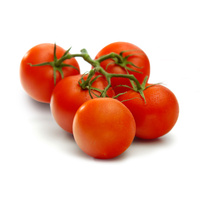 Fünf reife, rote Tomaten an einem grünen Zweig.