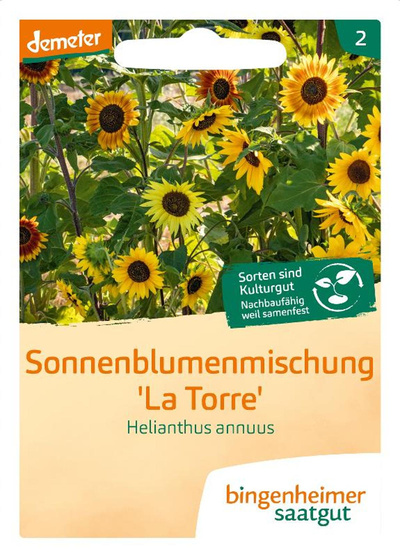 Produktfoto zu Saatgut Sonnenblume la Torre