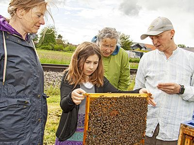  Eine junge Person hält vorsichtig einen Bienenstockrahmen voller Bienen, während drei Erwachsene danebenstehen und zusehen. Alle sind im Freien, mit einer unscharfen Landschaft und Eisenbahnschienen im Hintergrund.