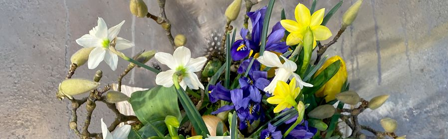 Deckers Biohof feinste alte Tomatensorten in Bioqualität