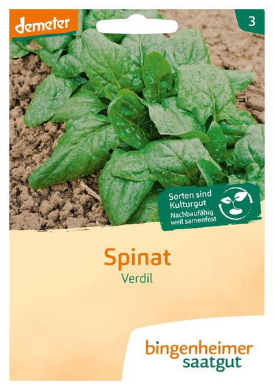 Produktfoto zu Saatgut Spinat Verdil