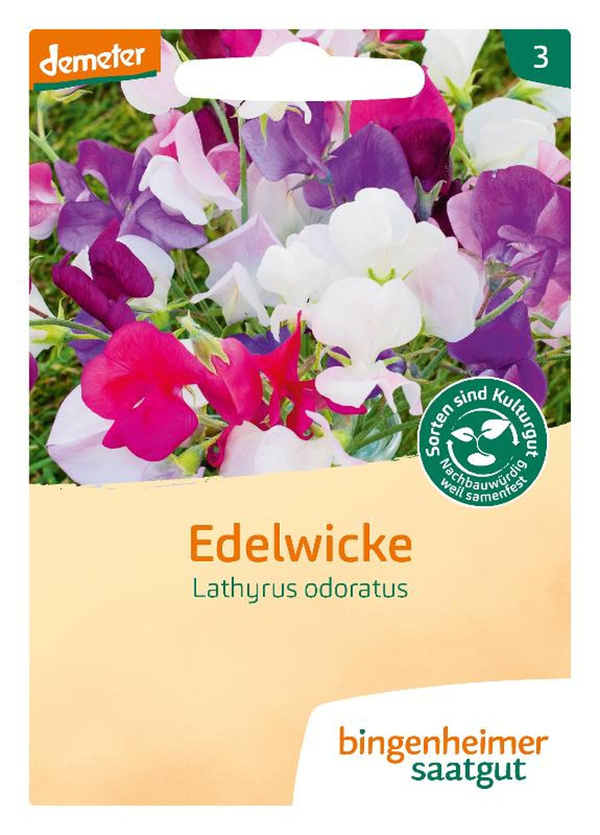 Produktfoto zu Saatgut Blumen Edelwicke